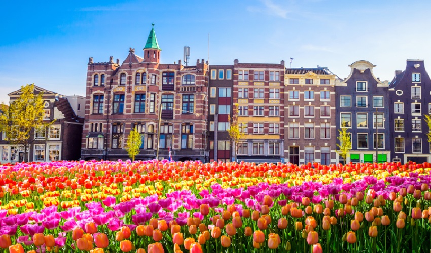 Viaje circulo-imperial-amsterdam-viena 
