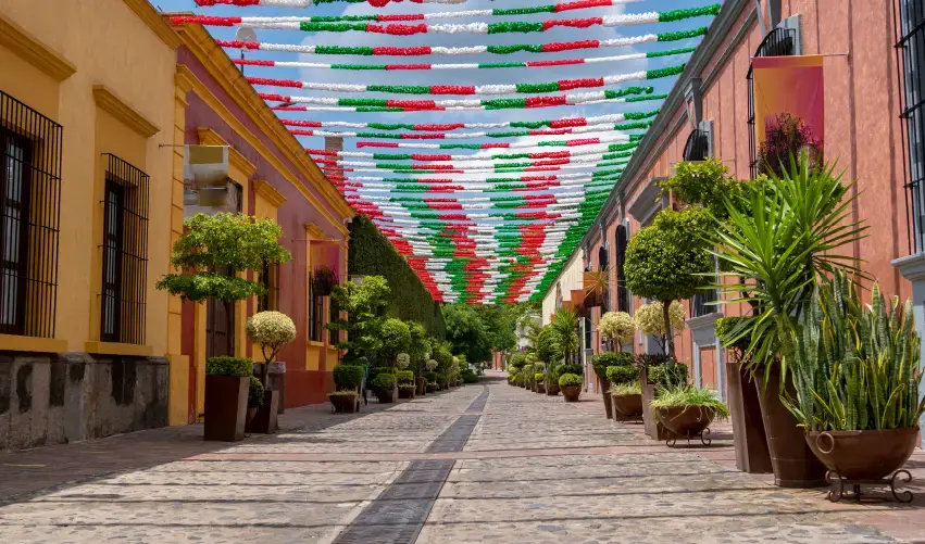 Viaje viaje-guadalajara-jalisco-mexico-5208